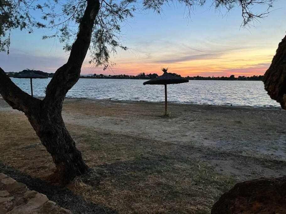 Alojamiento El Pez Casa Con Piscina Climatizada Villafranca de los Caballeros المظهر الخارجي الصورة